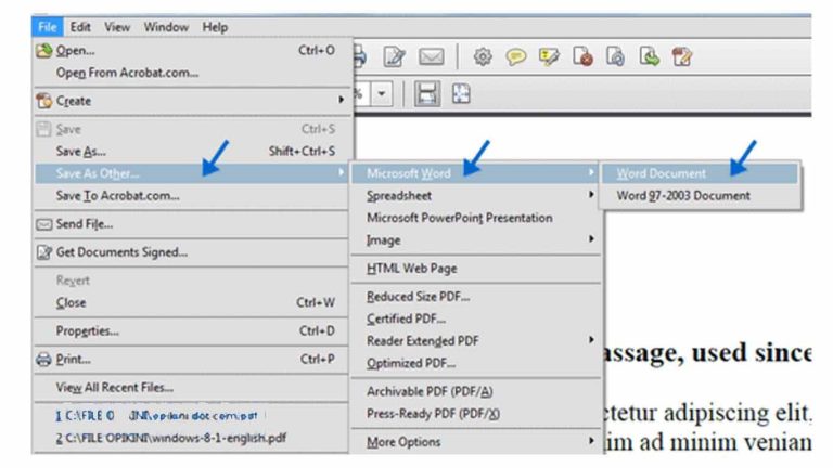3 Cara Mengubah File Reader ke Word: Solusi Belajar Mahasiswa Disabilitas Netra