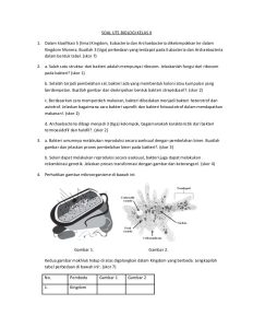 Contoh Soal Biologi Kelas 10 Semester 1 Dalchaebi