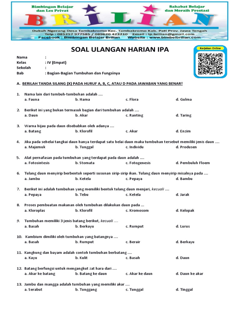 Petualangan Mengenal Bagian-Bagian Tumbuhan Fondasi Kehidupan di Kelas
