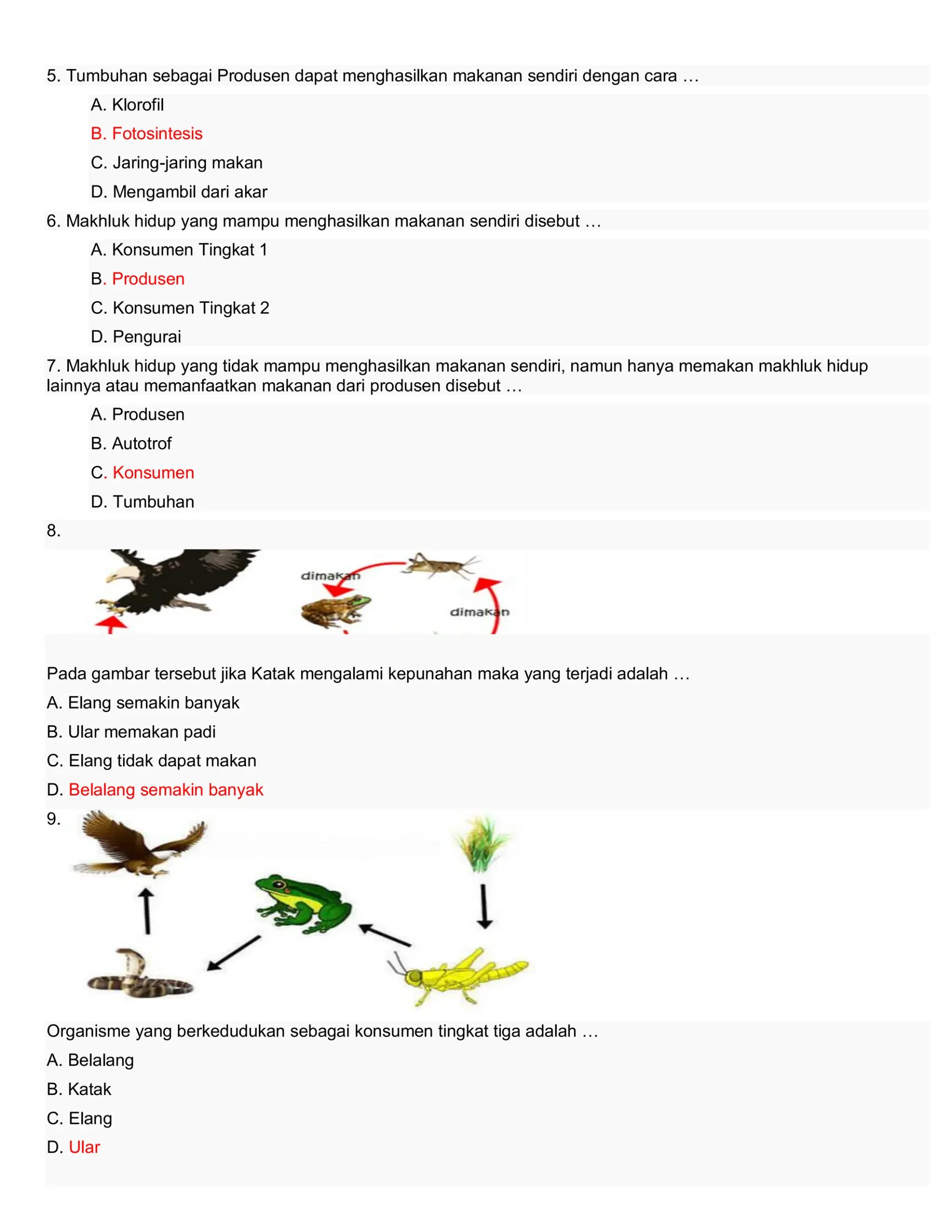 7 Rahasia Contoh Soal Rantai Makanan Kelas 6 Semester 2 Beserta Jawabannya Wajib Kuasai